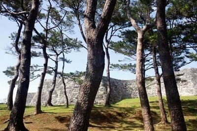 Fichtelgebirge-Ruine